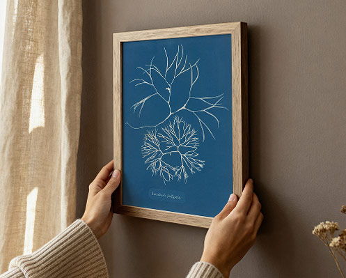 Wandbilder von Anna Atkins entdecken