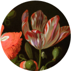 Rachel Ruysch
