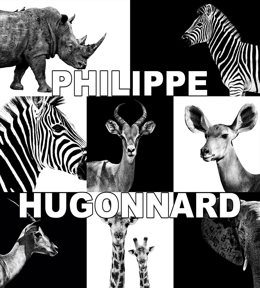 Bilder von Philippe HUGONNARD